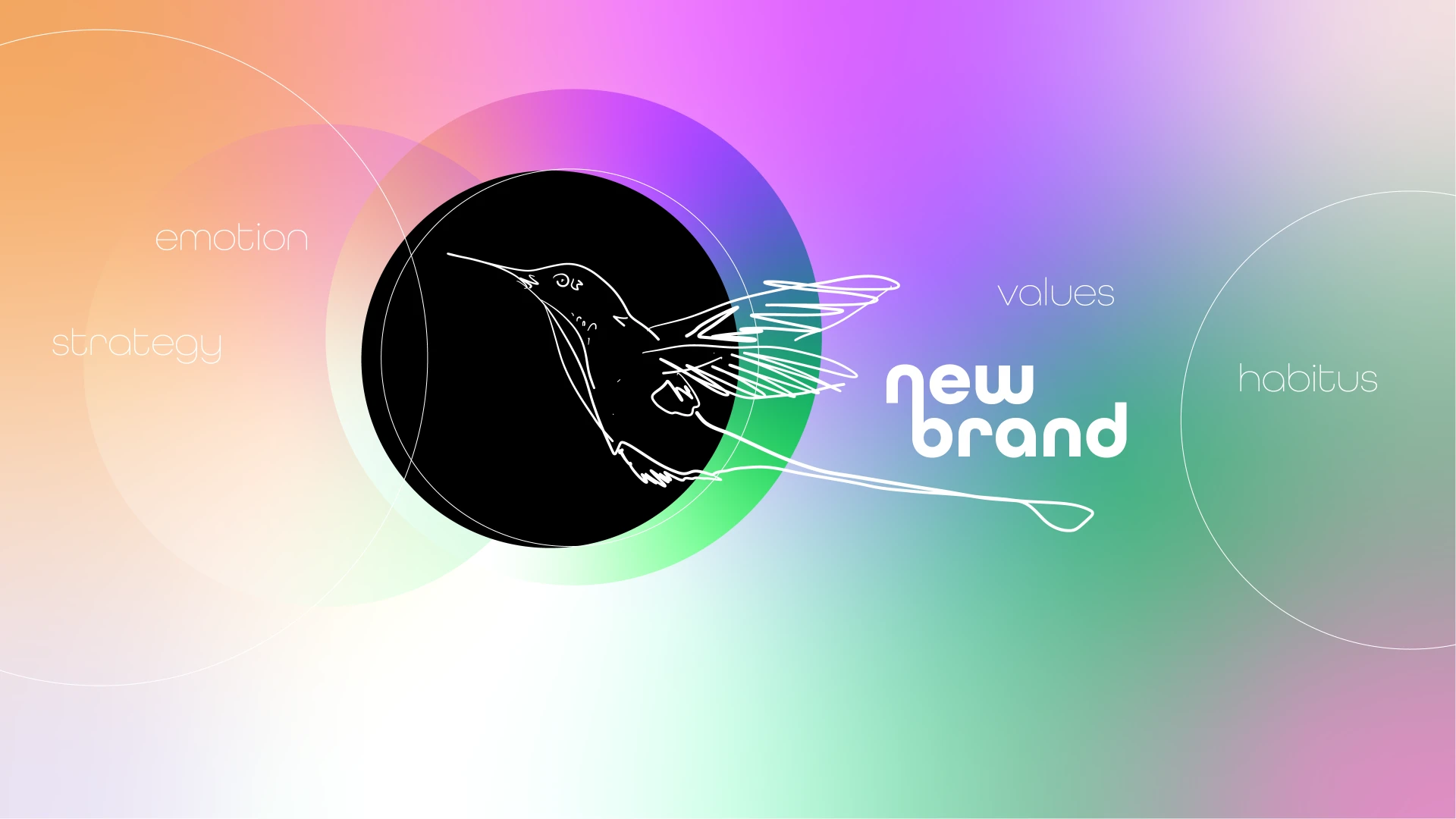 bunter Verlaufshintergrund mit Vogel-Illustration im Vordergrund, Headline "new brand" und "habitus", "values", "emotion", und "strategy" als Subtitle